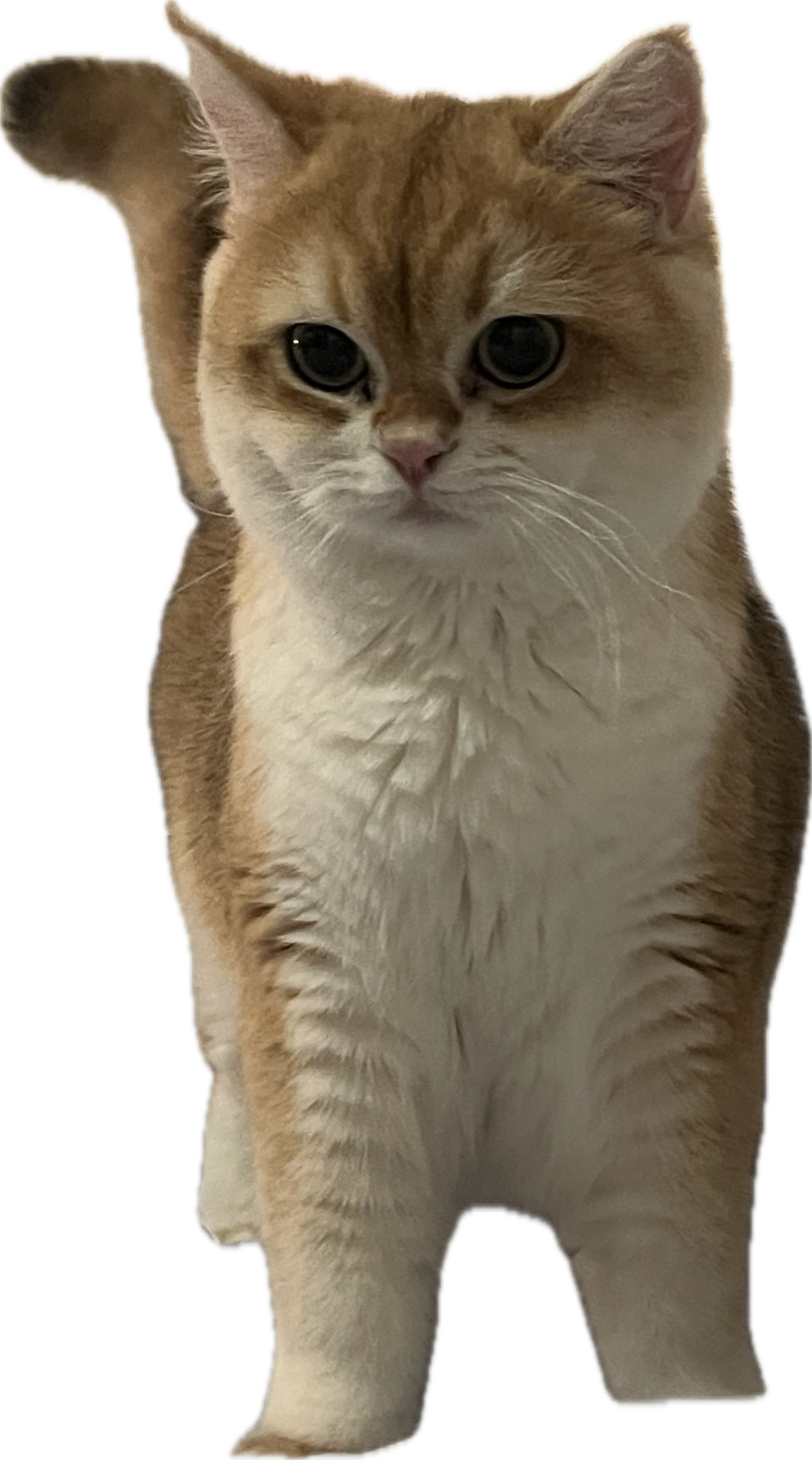 Loafy